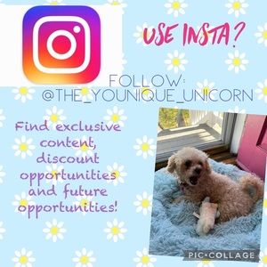 FOLLOW ME on Insta @the_younique_unicorn